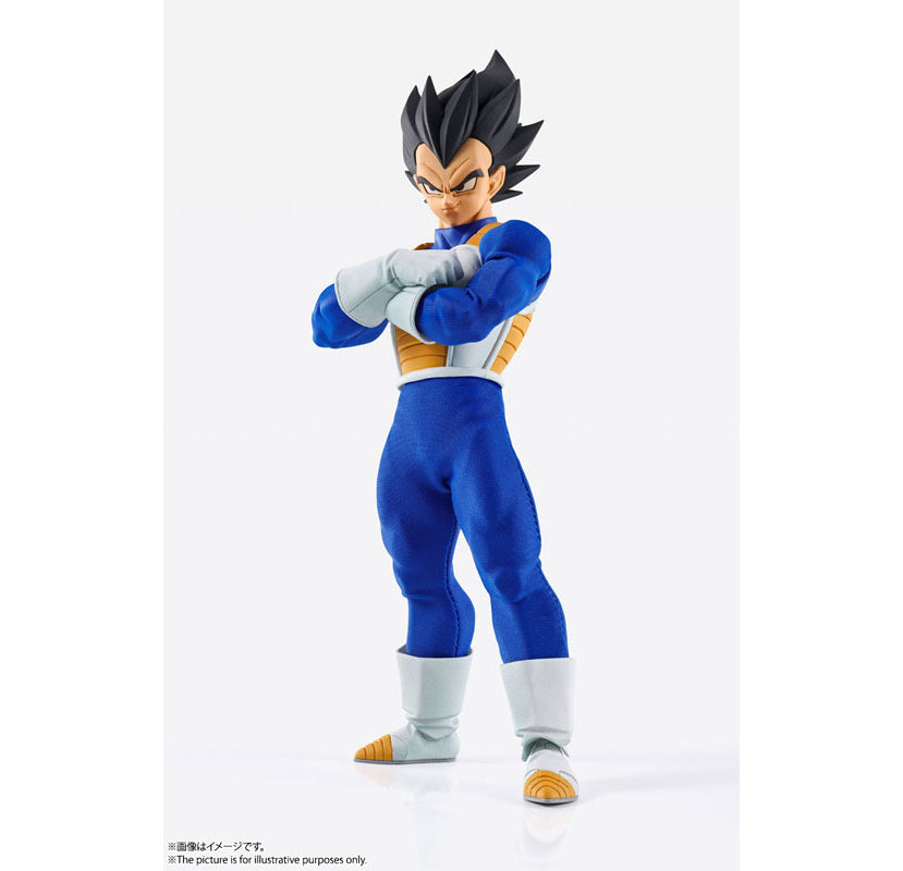 Dragon Ball Z - Vegeta Black Hair / Super Saiyajin - Imagination Works