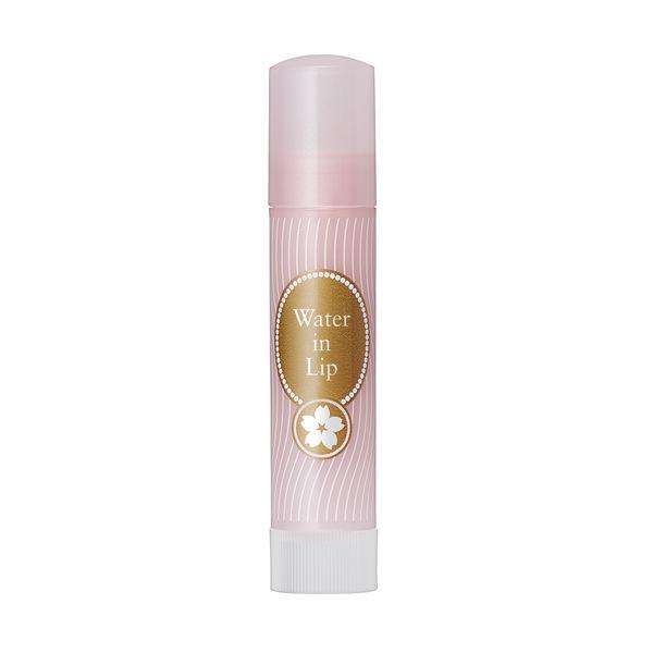 Stick Hidratante Labial - Water in Lip 3.5g Cor de Cerejeira - Fine Today